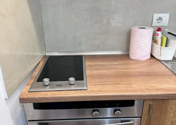 Ecoluxe Penthouse Cityview 公寓 地拉那